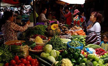 Khmer Cooking Class & Countryside