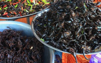 Night Food Tour