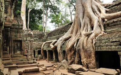 Ta Prohm